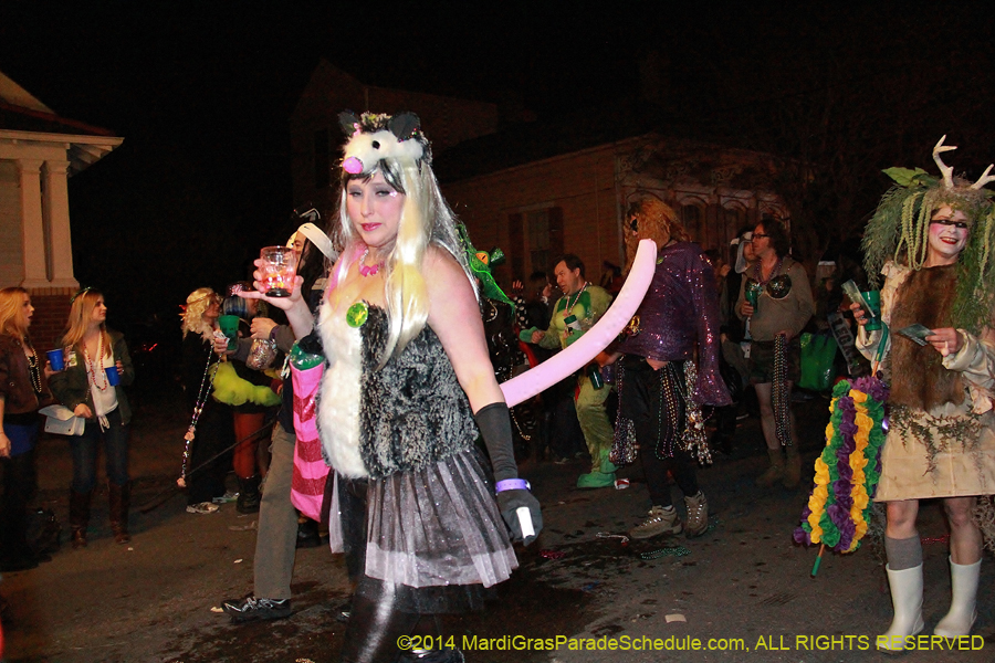 2014-Krewe-du-Vieux11211