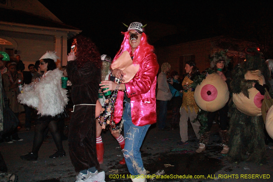 2014-Krewe-du-Vieux11214