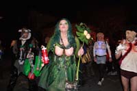 2014-Krewe-du-Vieux11213