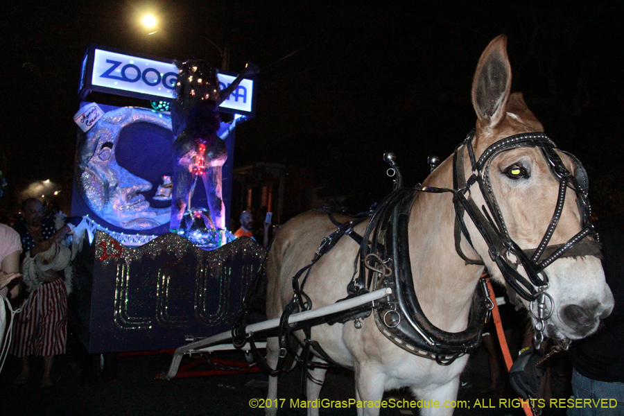 Krewe-du-Vieux-2017-01311