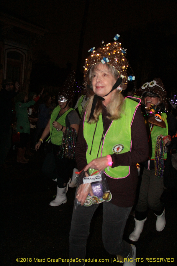 Krewe-du-vieux-2018-00000419