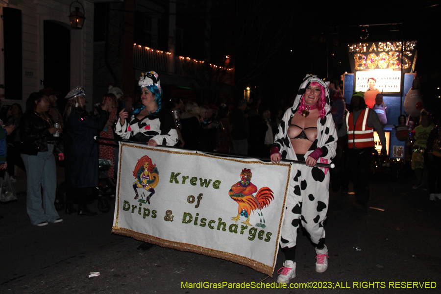 2023-Krewe-du-Vieux-03482