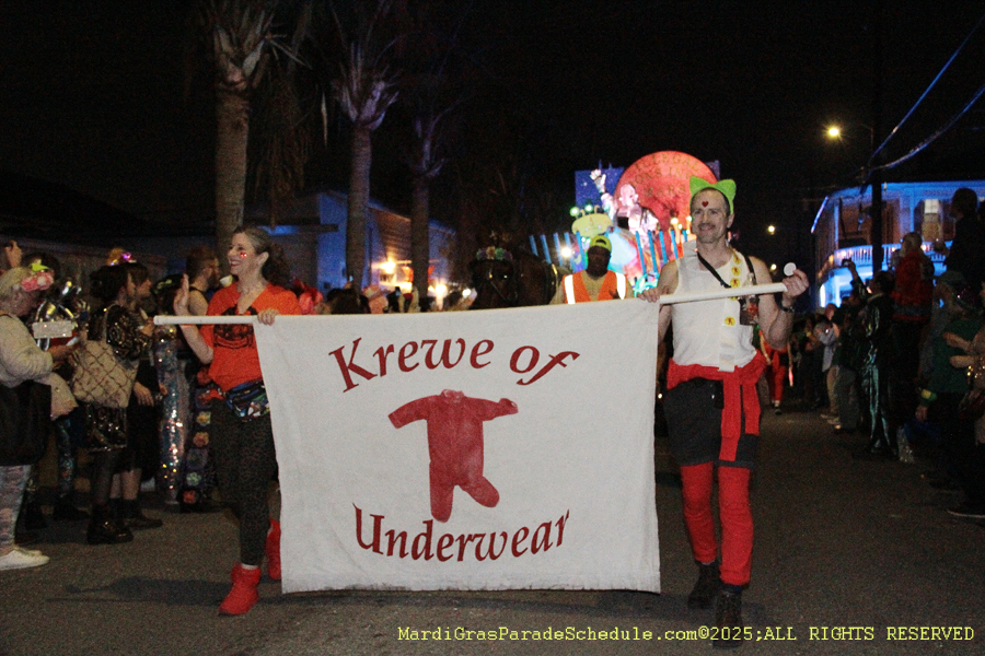 Krewe-du-Vieux-2025-001320