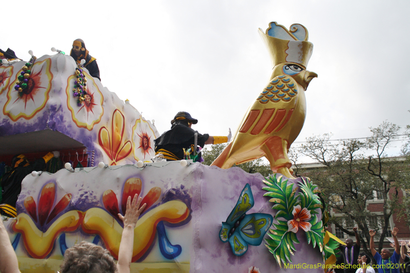 Krewe-of-CKing-Arthur-2011-0150