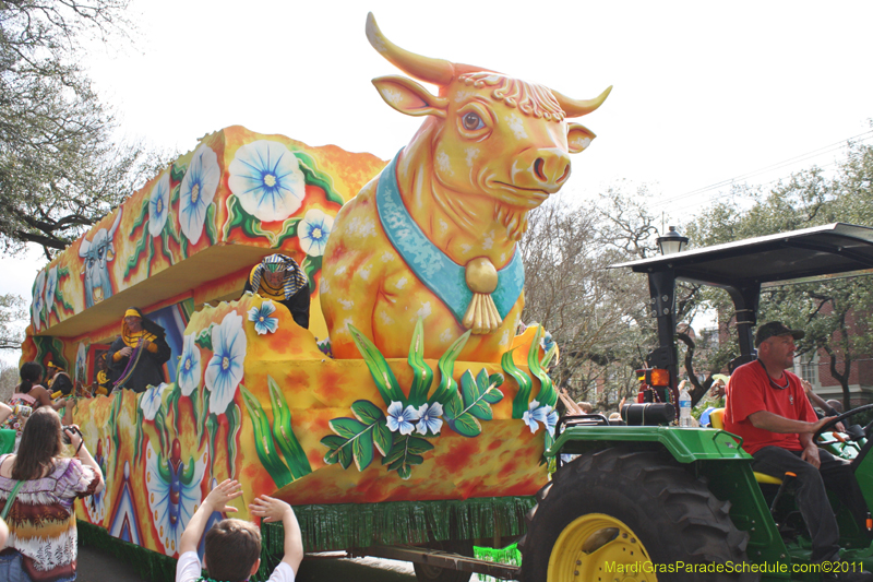 Krewe-of-CKing-Arthur-2011-0176