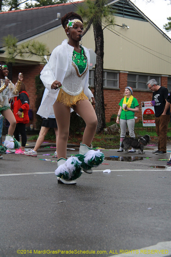 2014-Krewe-of-King-Arthur-11156