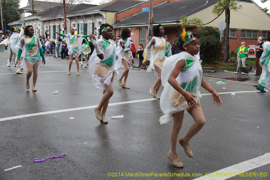 2014-Krewe-of-King-Arthur-11157