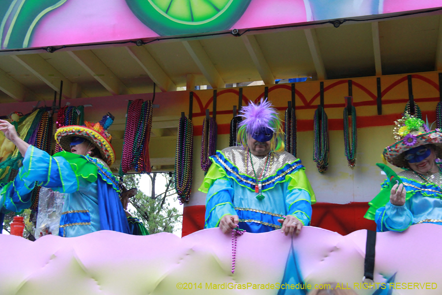 2014-Krewe-of-King-Arthur-11224