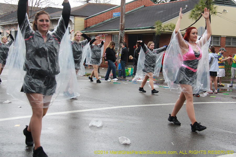 2014-Krewe-of-King-Arthur-11242