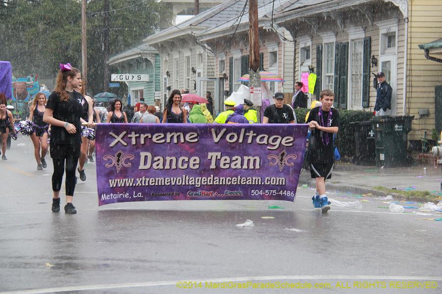 2014-Krewe-of-King-Arthur-11269