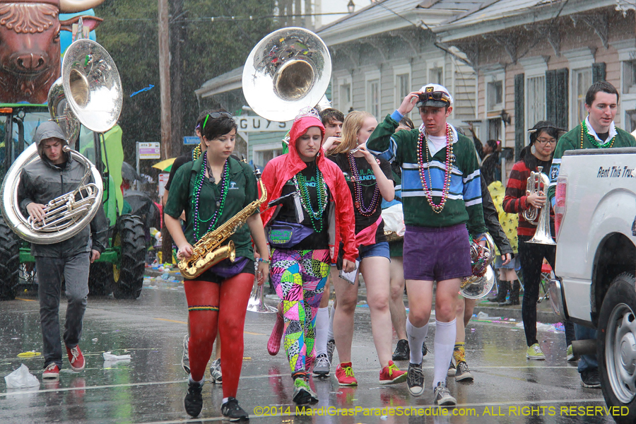 2014-Krewe-of-King-Arthur-11273