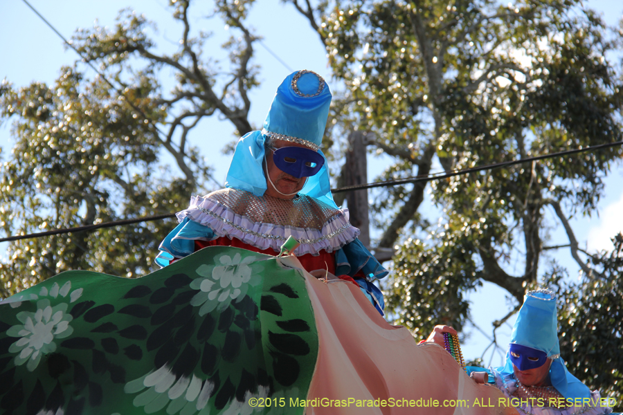 Krewe-of-King-Arthur-2015-12298