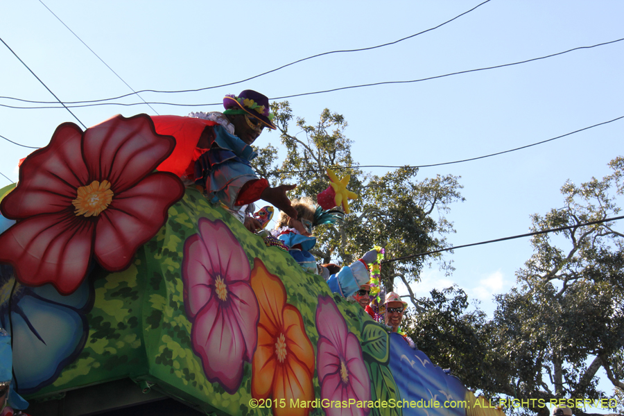 Krewe-of-King-Arthur-2015-12356