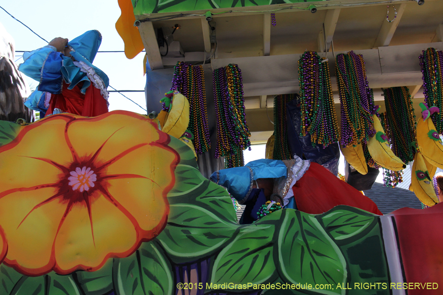 Krewe-of-King-Arthur-2015-12375