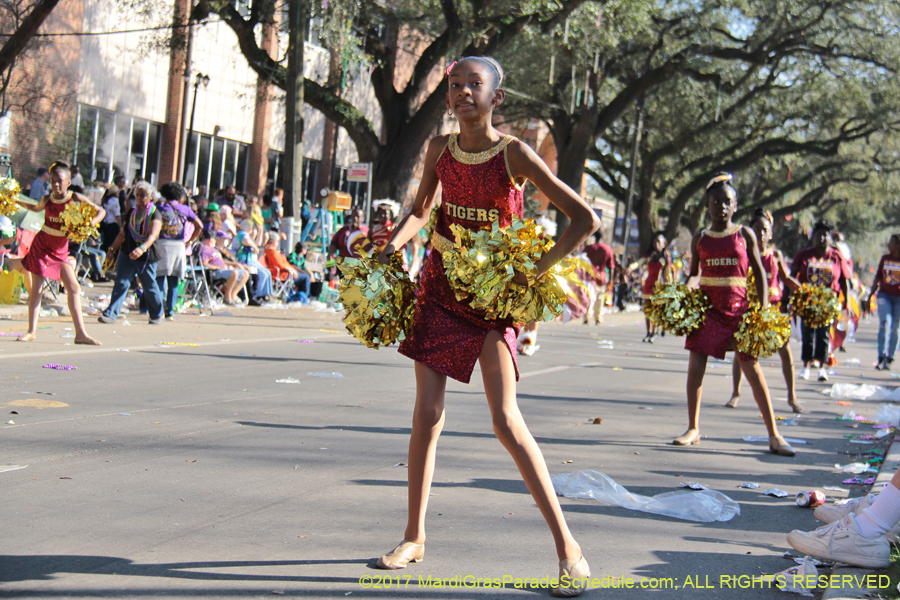 Krewe-of-King-Arthur-2017-04650