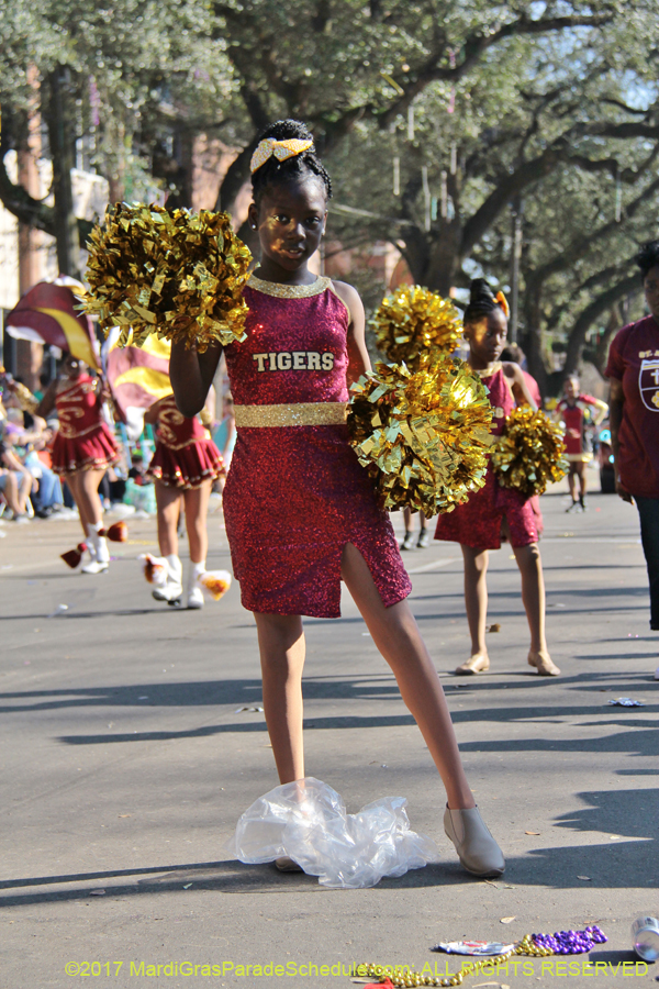 Krewe-of-King-Arthur-2017-04651