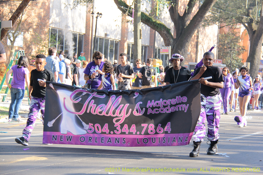 Krewe-of-King-Arthur-2017-04881