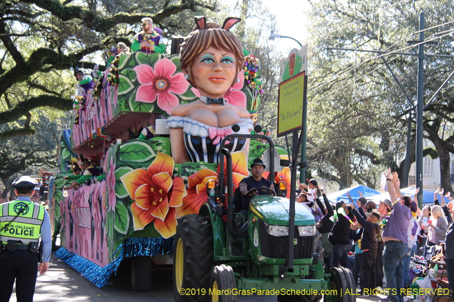 Krewe-of-King-Arthur-2019-003471