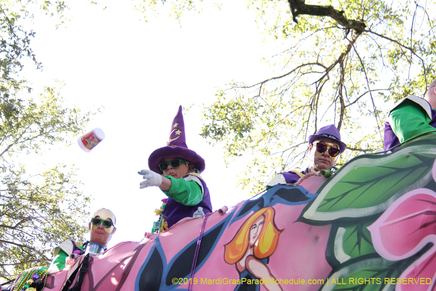 Krewe-of-King-Arthur-2019-003474