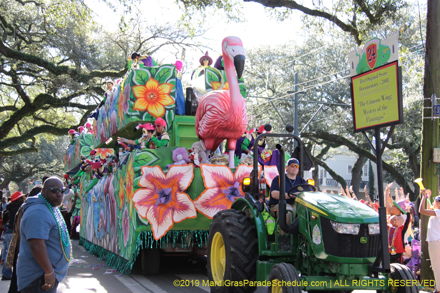 Krewe-of-King-Arthur-2019-003548