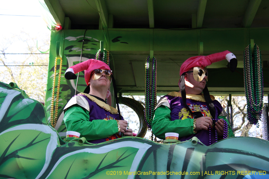 Krewe-of-King-Arthur-2019-003555