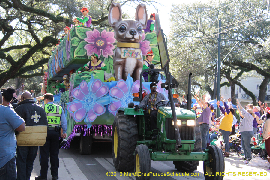 Krewe-of-King-Arthur-2019-003571