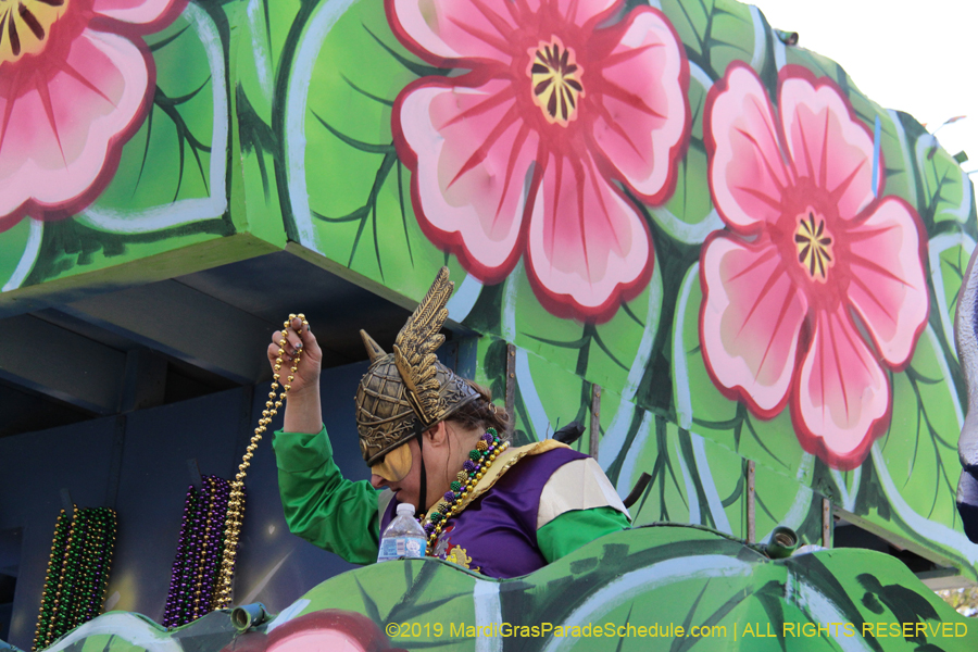 Krewe-of-King-Arthur-2019-003647