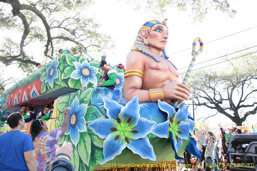 Krewe-of-King-Arthur-2019-003656