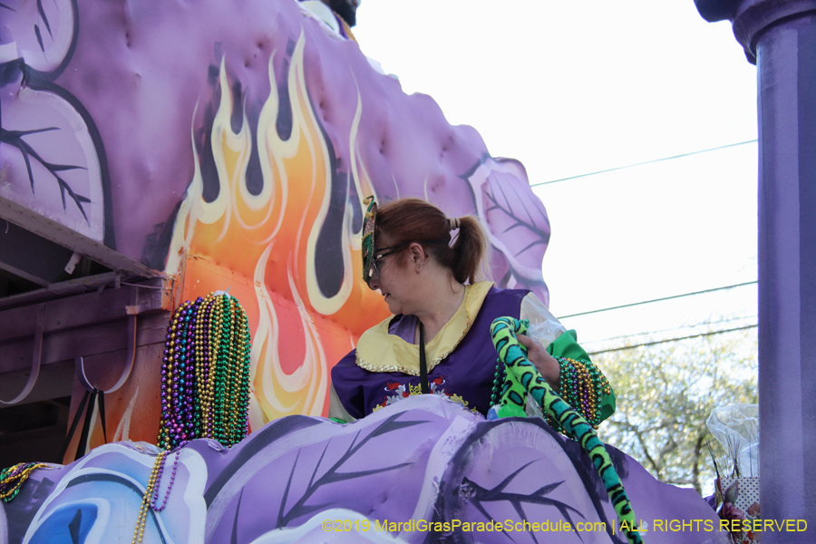 Krewe-of-King-Arthur-2019-003671