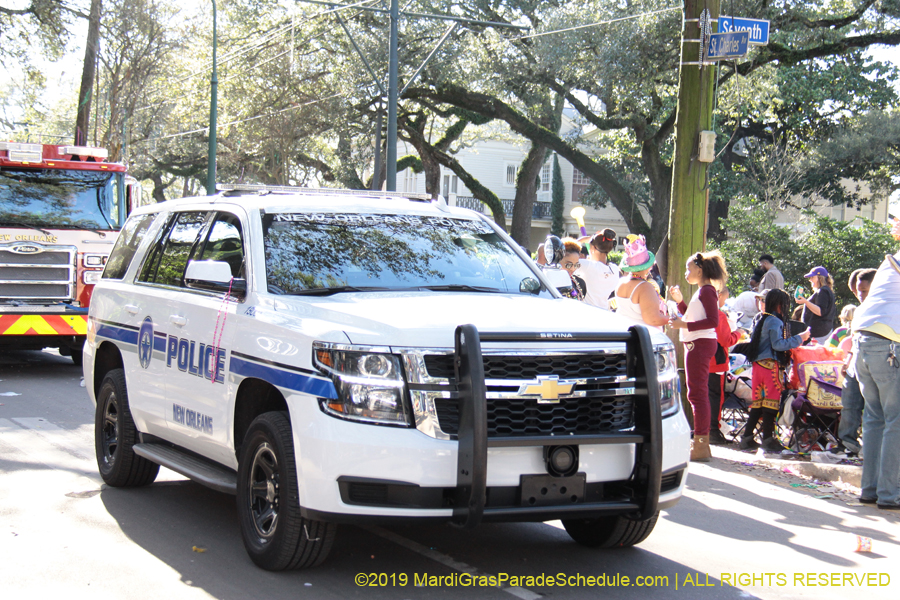 Krewe-of-King-Arthur-2019-003677