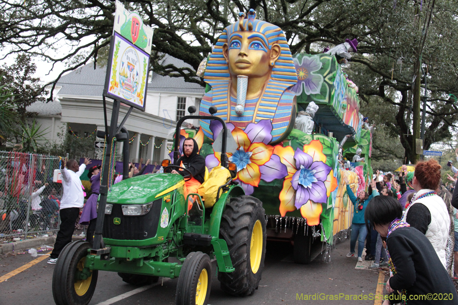 Krewe-of-King-Arthur-2020-03902