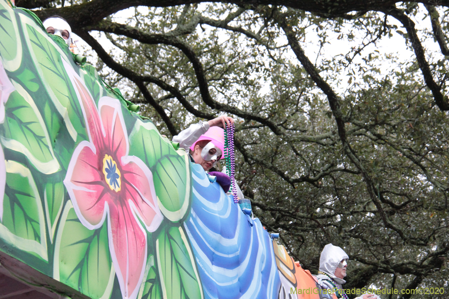 Krewe-of-King-Arthur-2020-03923