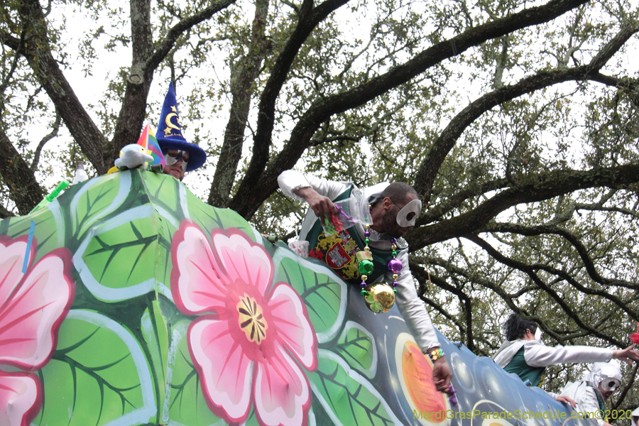 Krewe-of-King-Arthur-2020-03958