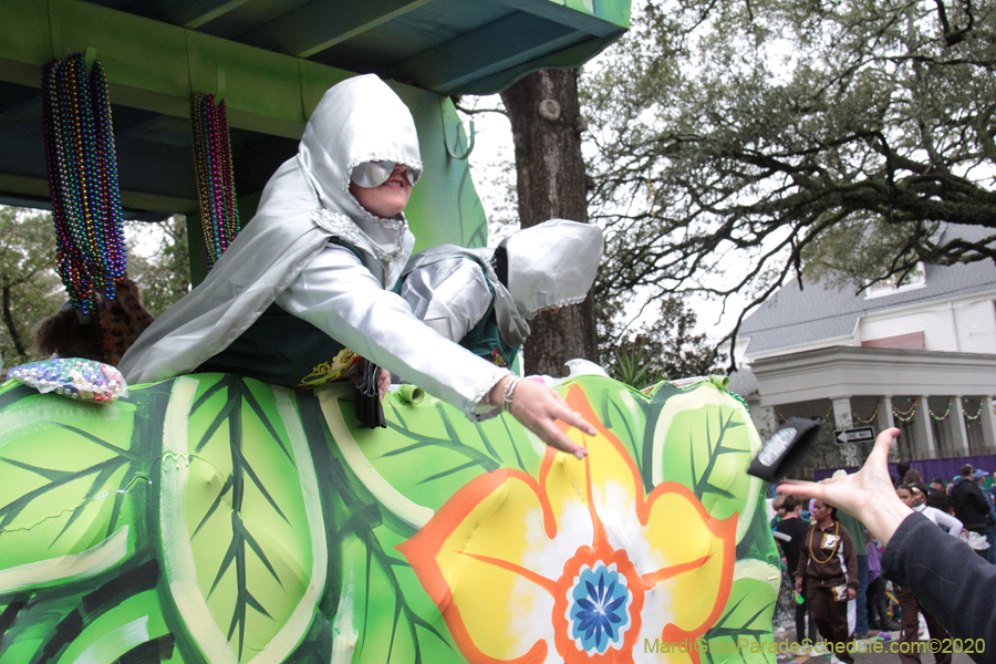 Krewe-of-King-Arthur-2020-03982