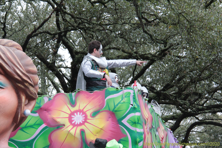 Krewe-of-King-Arthur-2020-04012