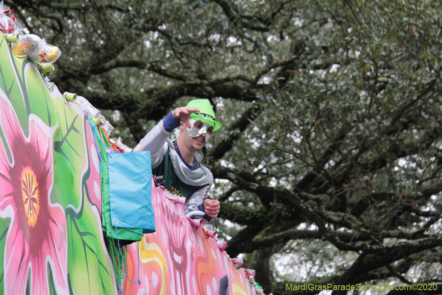 Krewe-of-King-Arthur-2020-04080