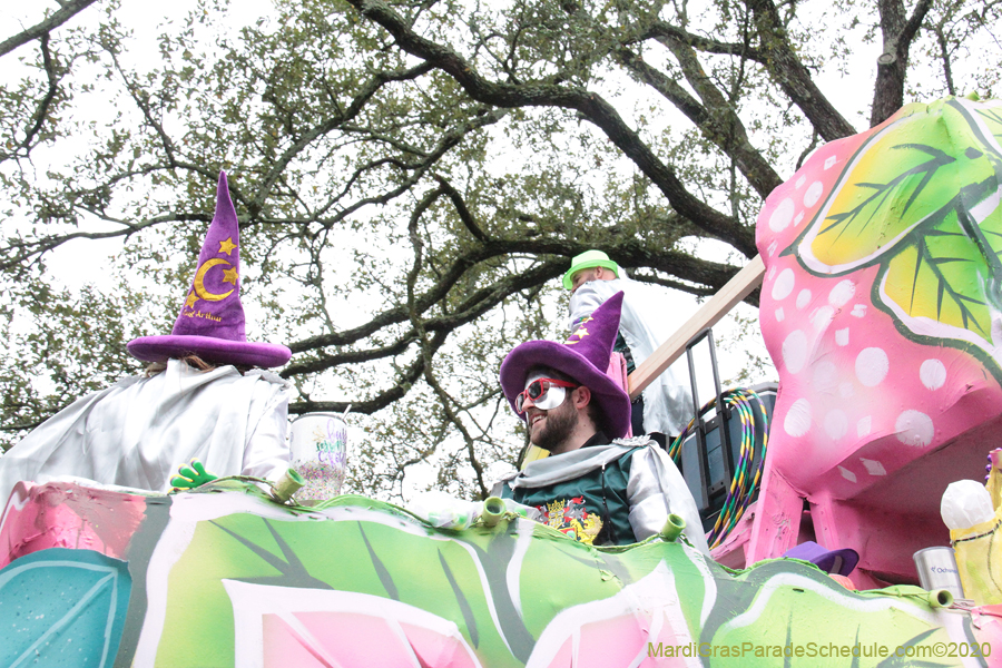 Krewe-of-King-Arthur-2020-04082