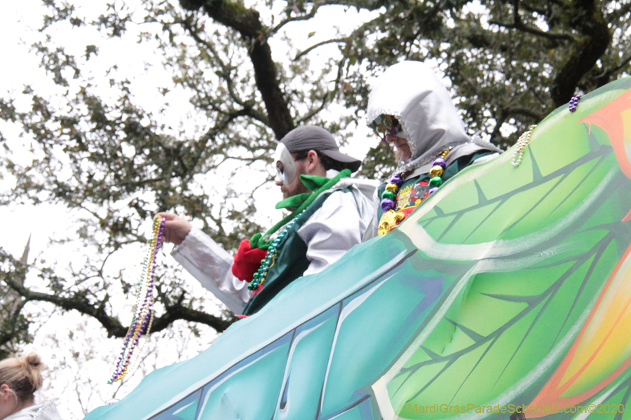 Krewe-of-King-Arthur-2020-04116