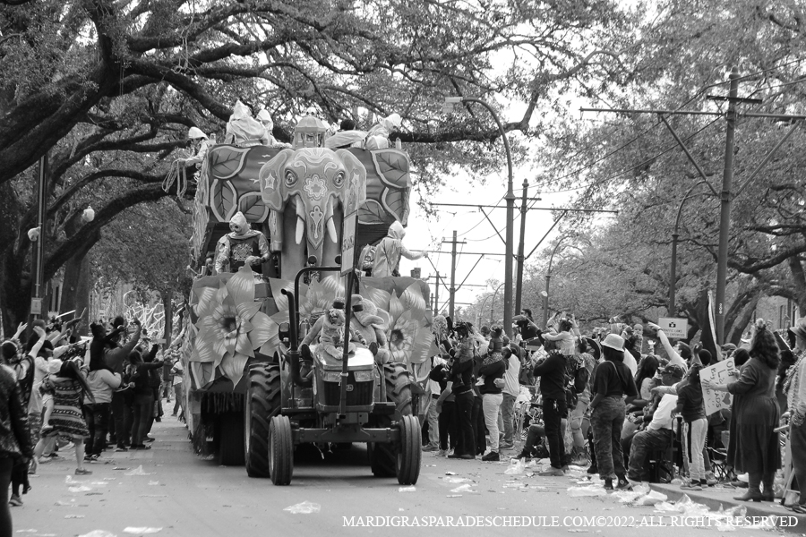 Krewe-of-King-Arthur00140-2022