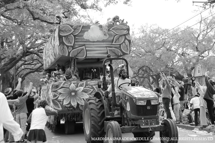 Krewe-of-King-Arthur00152-2022