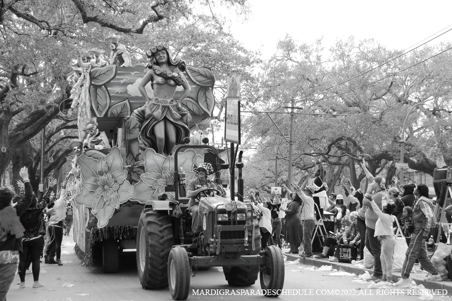 Krewe-of-King-Arthur00161-2022