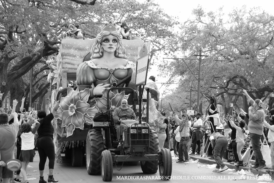 Krewe-of-King-Arthur00166-2022