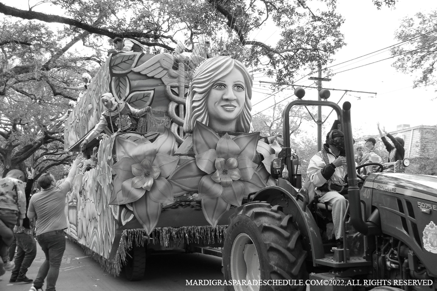 Krewe-of-King-Arthur00202-2022