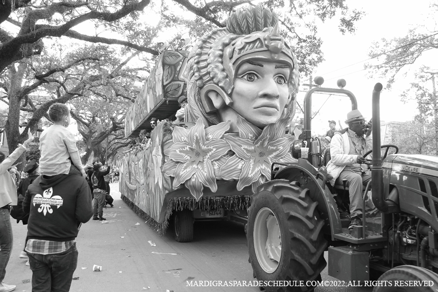 Krewe-of-King-Arthur00228-2022