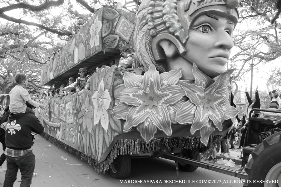 Krewe-of-King-Arthur00229-2022