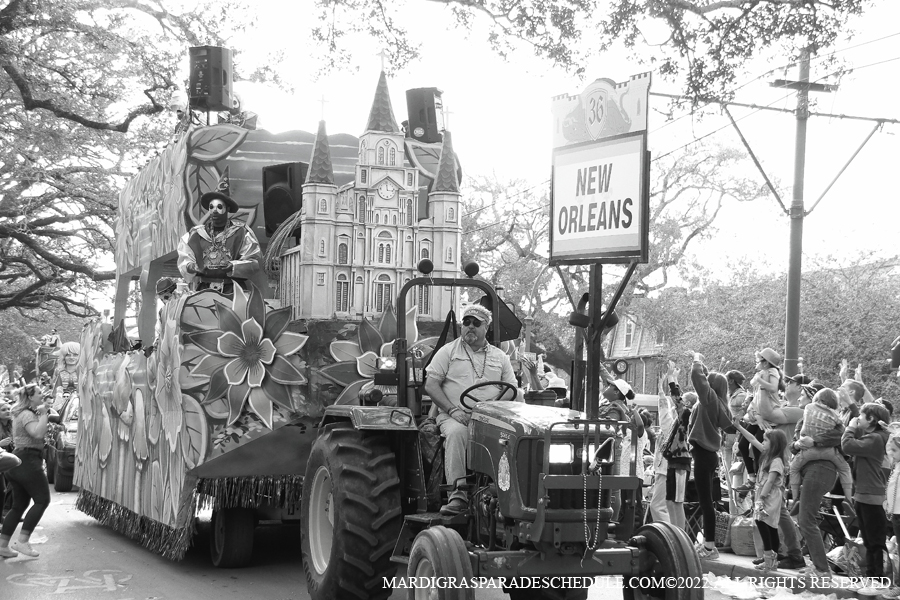 Krewe-of-King-Arthur00249-2022