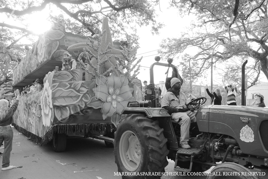 Krewe-of-King-Arthur00276-2022