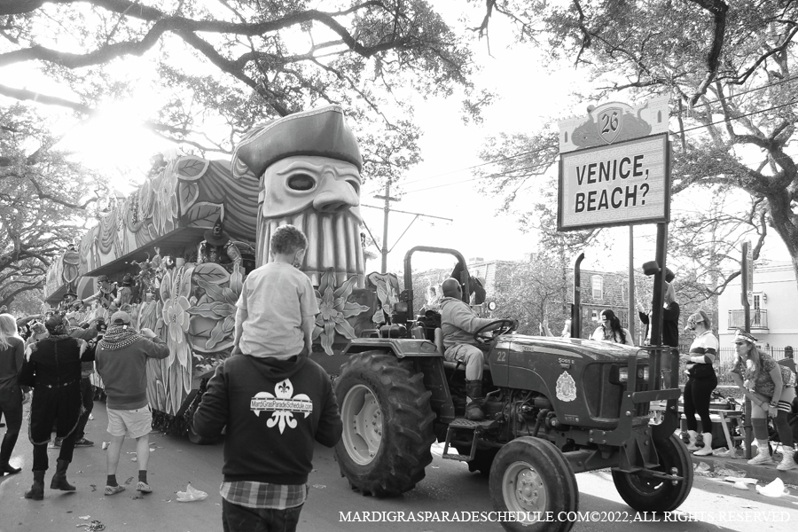 Krewe-of-King-Arthur00312-2022