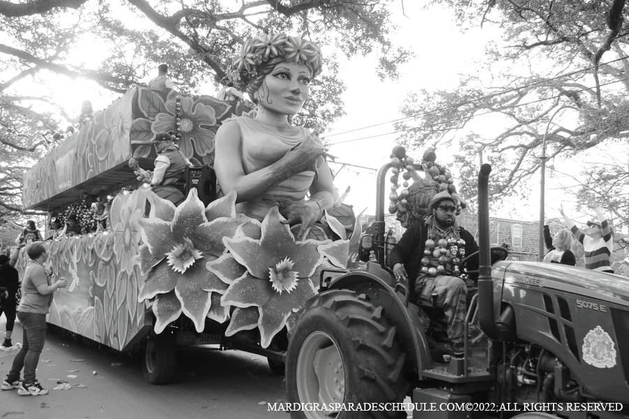 Krewe-of-King-Arthur00330-2022