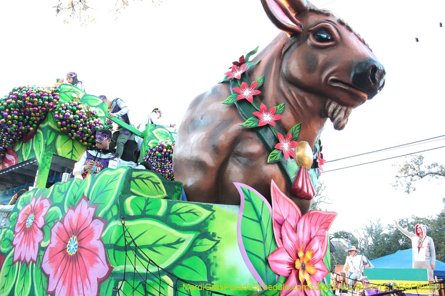 2023-Krewe-of-King-Arthur-06716